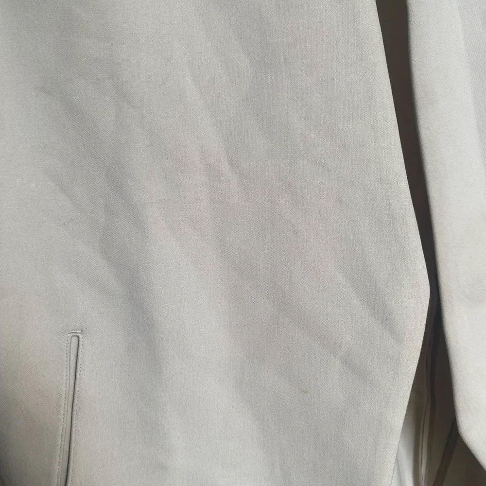 Aritzia Babaton New Power Blazer in Matte Pearl - Picture 11 of 11